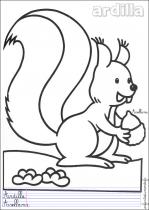 coloriage-ecureuil-1